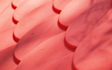 Burniere plastic roof costs