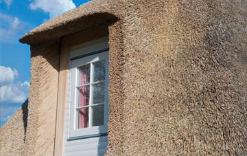 Burniere thatch roof disadvantages
